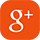 google icon